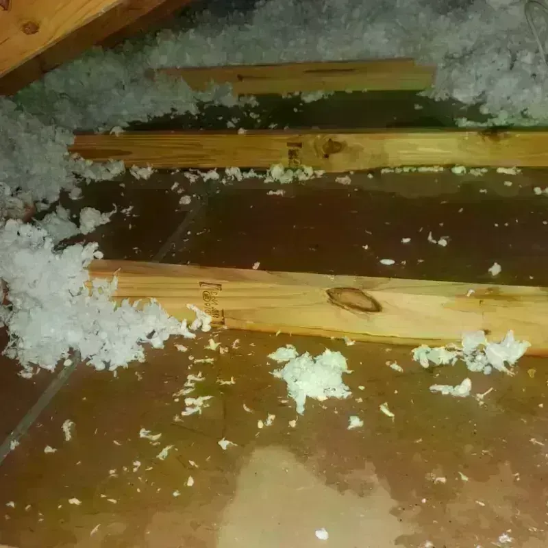 Attic Water Damage in Polk City, IA