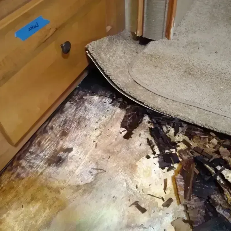 Wood Floor Water Damage in Polk City, IA